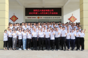 總結(jié)過去，計劃未來，協(xié)同創(chuàng)新，再創(chuàng)佳績！洛陽正大舉行2023年上半年工作總結(jié)會議